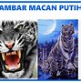 Macan Putih